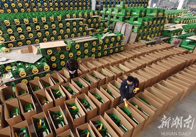 備戰(zhàn)雙十一，薯類產(chǎn)品銷售攻略