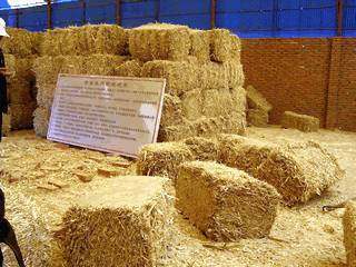 從田間到餐桌 薯類加工與銷售的新機(jī)遇